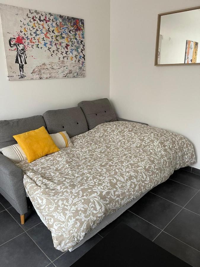 Bel Appartement Grande Terrasse Avec Parking A Dijon Eksteriør bilde